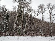 Chuska Mountains