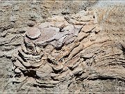 Coal Mine Canyon