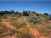 cottonwood_teppees_01