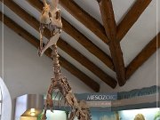 Museum of Northern Arizona