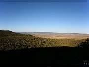 CR 5