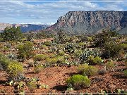 Toroweap Overlook