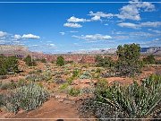 Toroweap Overlook