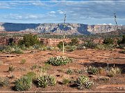 Toroweap Overlook
