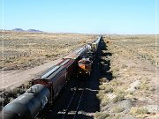 near Holbrook