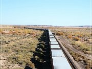 near Holbrook