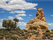 Navajo Standing Rock