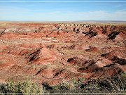 Petrified Forest NP
