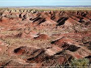 Petrified Forest NP