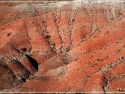 Petrified Forest NP