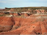 Petrified Forest NP