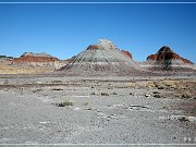 Petrified Forest NP