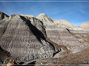 Petrified Forest NP