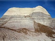 Petrified Forest NP