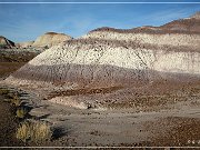 Petrified Forest NP