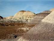 Petrified Forest NP