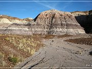 Petrified Forest NP