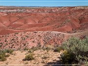 Petrified Forest NP