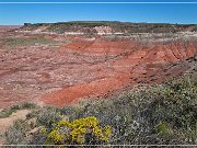 Petrified Forest NP