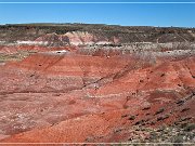 Petrified Forest NP