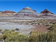 Petrified Forest NP