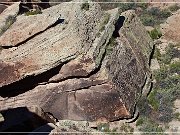 Petrified Forest NP
