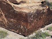 Petrified Forest NP