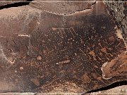 Petrified Forest NP