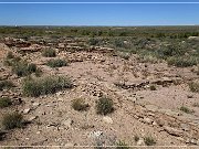 Petrified Forest NP