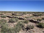 Petrified Forest NP
