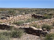 Petrified Forest NP