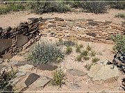 Petrified Forest NP