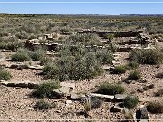 Petrified Forest NP