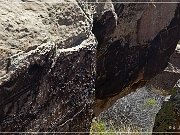 Petrified Forest NP