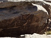 Petrified Forest NP