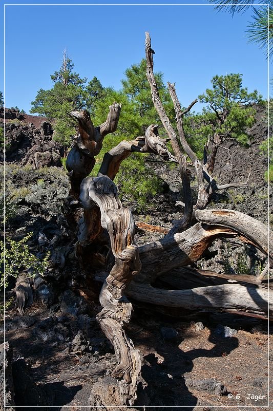 Sunset Crater NM