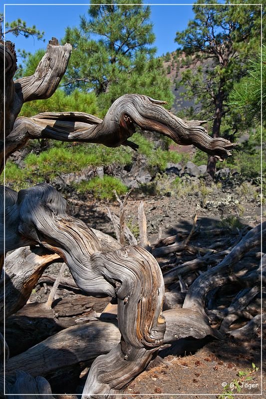 Sunset Crater NM