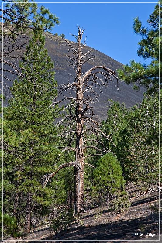 Sunset Crater NM