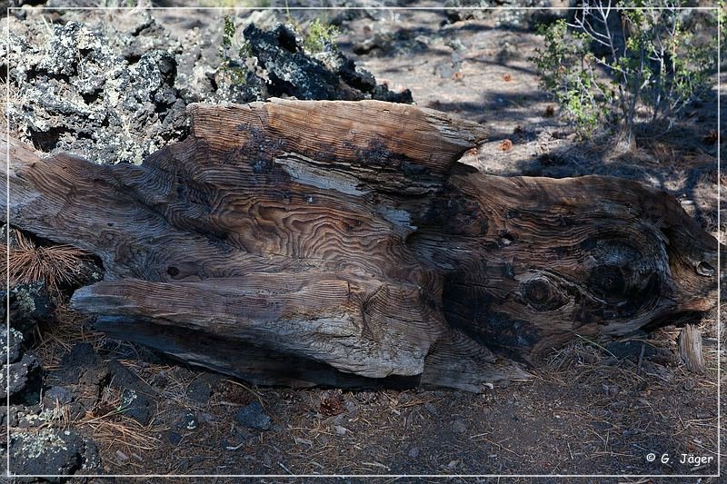 Sunset Crater NM