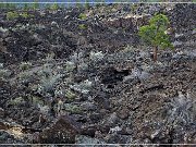 Sunset Crater NM