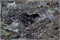 sunset Crater_nm_07