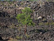 Sunset Crater NM