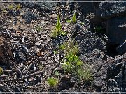 Sunset Crater NM