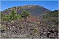 sunset Crater_nm_14