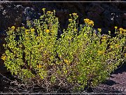 Sunset Crater NM