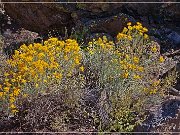 Sunset Crater NM