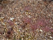 sunset Crater_nm_18