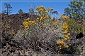 sunset Crater_nm_24
