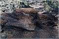 sunset Crater_nm_25