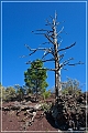 sunset Crater_nm_28